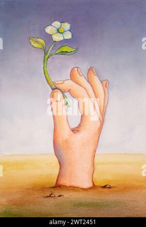 Männliche Hand, die eine kleine weiße Blume hält. Traditionelle Aquarellabbildung auf Papier. Mein eigenes Kunstwerk. Stockfoto
