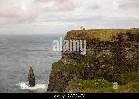 Cliffs of Moher, Irland Stockfoto