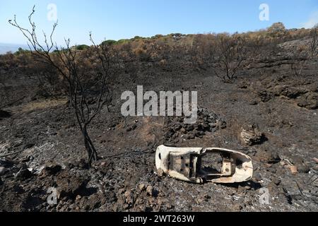 Umweltkatastrophe am Vesuv. Nach dem großen Feuer begann am 11. Juli, was vom Nationalpark des Vesuvs bleibt, nur Asche. Die immense Kiefer Stockfoto