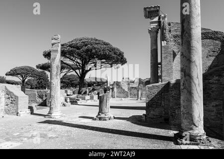 Schwarzweiß-Foto von römischen Säulen in Ruinen im archäologischen Park im antiken Ostia Stockfoto