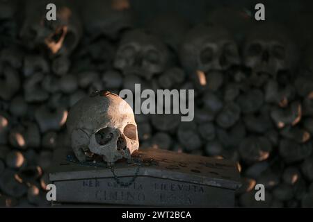 Innenansicht des Friedhofs Fontanelle. Mehr als 40.000 Schädel und Skelette von Menschen, Opfer der großen Pest von 1656 und der Cholera von 1836, sind kep Stockfoto