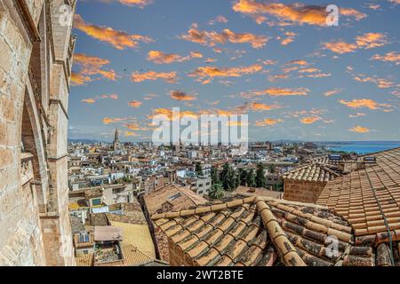 Blick auf einen Teil von der Altstadt von Palma, von der Terrasse der Kathedrale Santa Maria von Palma oder La Seu, einer gotischen römisch-katholischen Kathedrale i Stockfoto