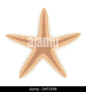 Getrocknete Seesterne. Seestern-Symbol flacher STYLE. Meerestier-Cartoon-Stil. Echinoderm. Unterwasser-Meeressymbol isoliert auf weißem Hintergrund. Sommer-Vektor-Illustration Stock Vektor