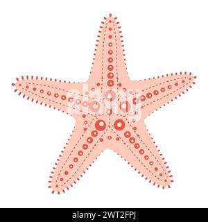Seesterne flach. Süßer rosafarbener Seestern mit Hörnern oder Schokochip Seestern. Meerestier-Zeichentrick. Echinoderm. Unterwasser-Meeressymbol isoliert auf weißem Hintergrund. Sommer-Vektor-Illustration Stock Vektor