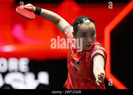 Singapur. März 2024. Ito Mima aus Japan spielt im Viertelfinale der Frauen gegen Wang Manyu aus China beim World Table Tennis Singapore Smash 2024 in Singapur am 15. März 2024. Quelle: Dann Chih Wey/Xinhua/Alamy Live News Stockfoto