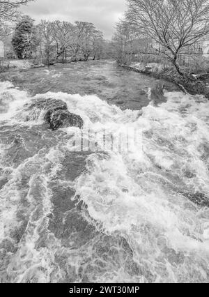 Ein donnerndes Rauschen des Wassers am Queens Rock am River Ribble, Kingsmill, Siedlung North Yorkshire Stockfoto