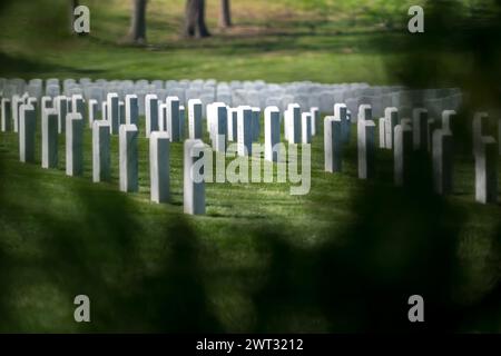 Salisbury, North Carolina, USA. März 2024. Allgemeine Ansichten der Gedenkfeier auf dem Friedhof der Veteranen mit amerikanischen Flaggen (Bild: © Walter G Arce SR Grindstone Medi/ASP) NUR REDAKTIONELLE VERWENDUNG! Nicht für kommerzielle ZWECKE! Stockfoto