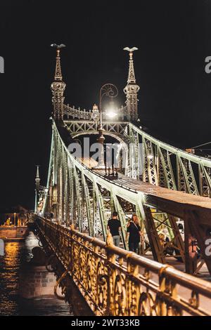 Liberty Bridge bei Nacht Stockfoto