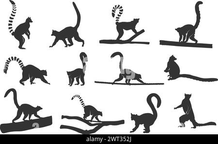 Lemur Silhouette, Ring-tailed Lemur Silhouette, Lemur Silhouette, Lemur Vektor Set Stock Vektor