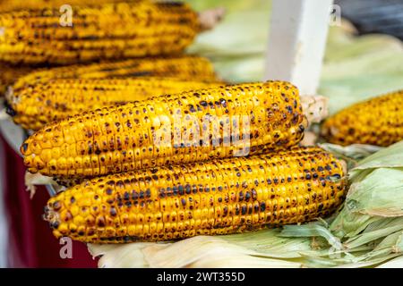 Frisch gekochter oder gegrillter Zuckermais auf dem Kolben, mit Salz und Gewürzen bestreut. Stockfoto