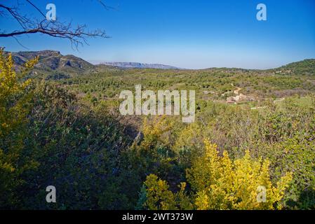 Le parc de pichauris à Allauch dans les bouches du rhone avec vue sur la montagne sainte victoire Stockfoto