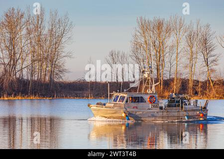 Kleines Fischereifahrzeug, das nach Steveston Harbour in British Columbia, Kanada, zurückkehrt Stockfoto