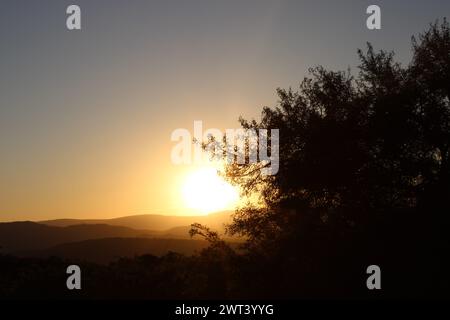 Wunderschöner afrikanischer Sonnenuntergang im Lowveld Mpumalanga. Goldene Farbtöne und afrikanischer Himmel: Erkunden Sie den Zauber des Sonnenuntergangs im Herzen Afrikas Stockfoto