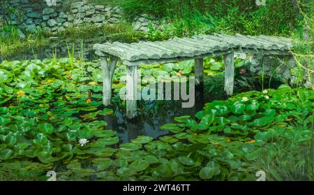 Seerosen in einem Teich umgeben ein altes hölzernes Dock aus Baumstämmen. Die alte Felswand ist im Hintergrund. Wasserreflexionen zeigen neben intensiven Grüntönen. Stockfoto