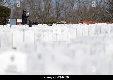 Ein ergreifender Moment entfaltet sich, während ein Soldat einen gefallenen Veteranen mit einem feierlichen Gruß ehrt und seine Internierung auf einem nationalen Militärfriedhof markiert. Stockfoto