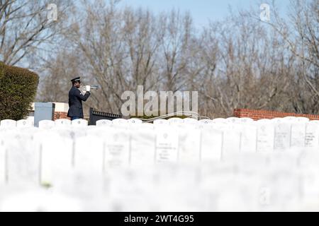 Ein ergreifender Moment entfaltet sich, während ein Soldat einen gefallenen Veteranen mit einem feierlichen Gruß ehrt und seine Internierung auf einem nationalen Militärfriedhof markiert. Stockfoto