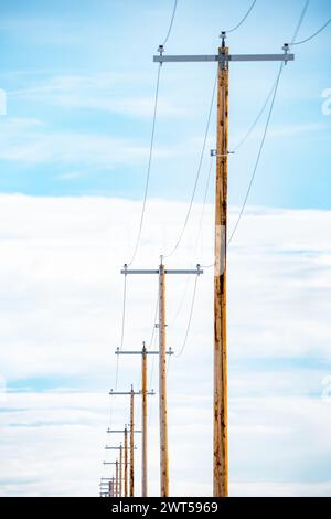 Portraitansicht einer Reihe von Telefonmasten aus Holz mit Kabeln, die vor blauem Himmel in Nordamerika isoliert sind. Stockfoto