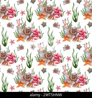 Aquarell-Illustrationsmuster auf einem Meeresmotiv. Muscheln, Seesterne, Korallen, Algen isoliert auf weißem Hintergrund. Kompositionen für Poster, Karten, Stockfoto