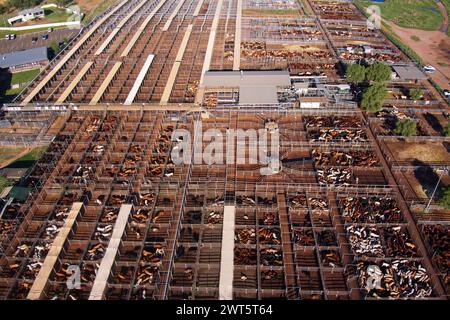 Aus der Vogelperspektive der Roma Saleyards Australiens größtes Viehverkaufszentrum mit über 400.000 Rindern im Jahr. Roma Queensland Australien Stockfoto