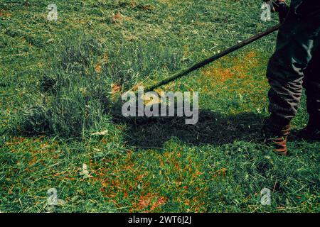 Ein Mann mäht hohes Gras auf dem Rasen, den Rasen als Hintergrund Stockfoto