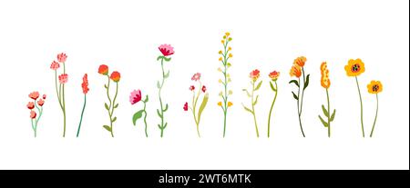 Ein Satz zart anmutiger Wildblumen auf hohen Stämmen mit Laub. Einfache Blumenelemente. Gelbe und rosafarbene Wildpflanzen isoliert auf weißem Hintergrund. Illustration des flachen Vektors. Stock Vektor