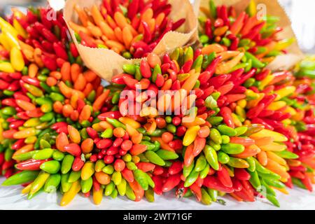 Bunte Chili-Paprika. Ein Haufen farbenfroher Chili-Paprika auf dem Markt der Rialto-Brücke in Venedig. Garbe aus bunten Chilischoten. Das Konzept der frischen Orga Stockfoto