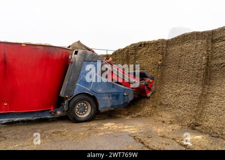 Eine Maschine zur Futtergewinnung in einem burt. Stockfoto