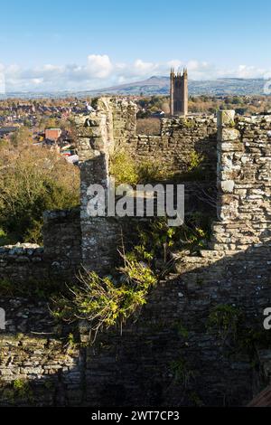 Blick vom Eingangsturm von Ludlow Castle auf die Stadt Ludlow, Shropshire, England. November. Stockfoto