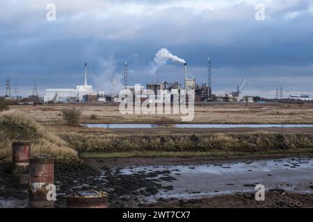 Teesside International Nature Reserve, Blick über das Sumpfgebiet in Richtung Hartlepool Kraftwerk und Chemiewerk. Nordostengland. UK Stockfoto