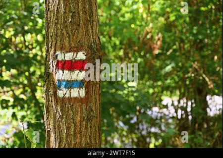 Touristenschild auf einem Baum. Einzigartige Farbmarkierung von Touristenrouten in der Tschechischen Republik. Stockfoto