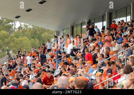 Brisbane, Australien. März 2024. Die Fans reagieren während des Isuzu Ute League-Spiels zwischen Brisbane Roar und Macarthur FC im Ballymore Stadium. Quelle: Matthew Starling / Alamy Live News Stockfoto