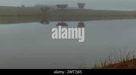Nebeliger Morgen auf dem Landsee in der portugiesischen Region Alentejo Stockfoto