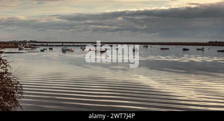 Lagunenlandschaft in Luz im Naturpark Ria Formosa bei Tavira Stockfoto