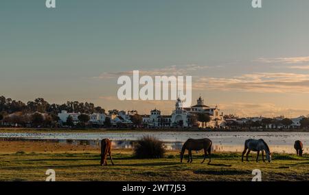 Landschaft der Lagune in rocio im Coto de Donana Nationalpark bei Sonnenaufgang Stockfoto