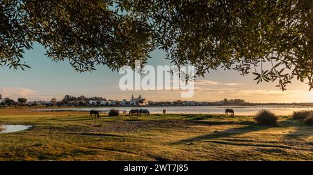 Landschaft der Lagune in rocio im Coto de Donana Nationalpark bei Sonnenaufgang Stockfoto