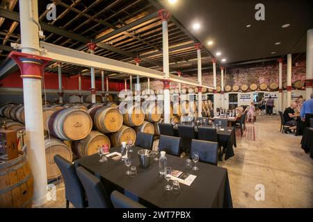 Chateau Tanunda im Barossa Valley, Menschen Weinprobe in der Kellertür umgeben von Holzfässern mit Wein, South Australia, 2024 Stockfoto