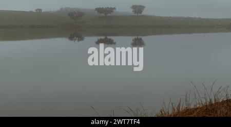 Reise Portugal Natur und ländlicher Tourismus nebeliger Morgen auf dem Land See in der portugiesischen Region Alentejo Stockfoto