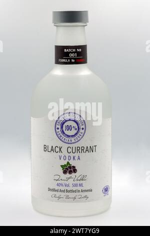 Kiew, Ukraine - 2. September 2022: Studio-Shooting der armenischen Schwarzen Johannisbeeren Wodka-Flasche auf weiß. Stockfoto