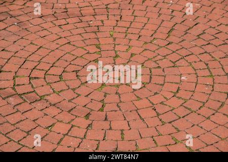 Pflasteranlage im Park von roten Ziegelsteinkeramikpflastern Nahaufnahme als Hintergrund Stockfoto