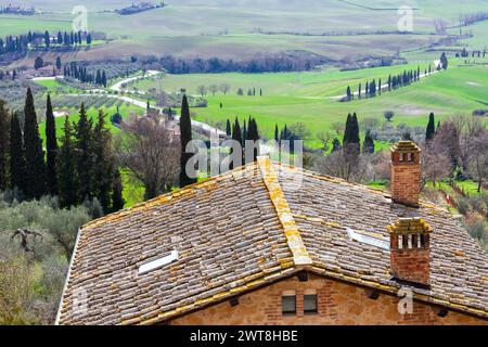 Wunderschöne Landschaft der grünen Hügel der Toskana im malerischen Val d' Orcia, in der Nähe von Siena und Florenz, mit Zypressen, Feldern und sanften Hügeln. Stockfoto