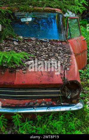 In den dichten Wäldern Schwedens sitzt ein altes, verrostetes Auto, das Anzeichen von Verfall und Vernachlässigung zeigt. Das Auto ist von bewachsener Vegetation umgeben, was darauf hindeutet Stockfoto