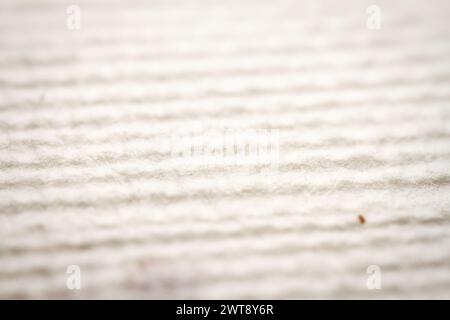 Extreme Nahaufnahme von weißem, handgemachtem Papier mit getrockneten Pflanzen. Geringe Schärfentiefe. Stockfoto