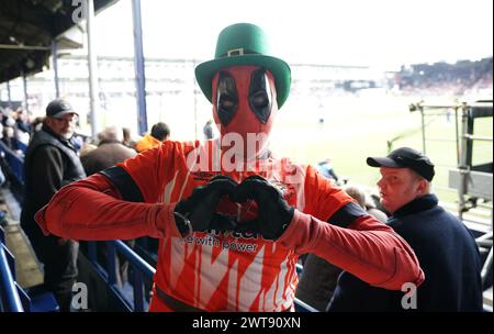 Ein Fan von Luton Town, der als Deadpool verkleidet war, vor dem Spiel der Premier League in der Kenilworth Road, Luton. Bilddatum: Samstag, 16. März 2024. Stockfoto