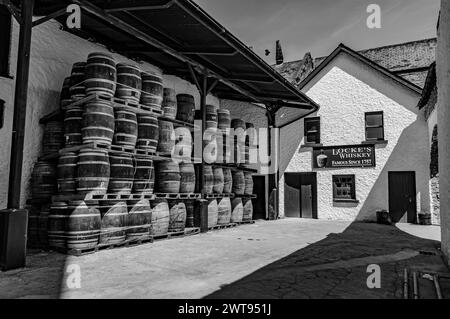 Die Kilbeggan Distillery befindet sich am Brosna River in der Stadt Kilbeggan im County Westmeath, Irland. Sie ist Teil der Beam Suntory Stockfoto