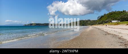 Panorama von Onetangi Beach mit Muscheln, Touristen und Hügelhäusern auf Waiheke Island, Aotearoa / Neuseeland Stockfoto