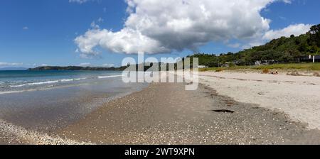 Panorama von Onetangi Beach mit Muscheln, Touristen und Hügelhäusern auf Waiheke Island, Aotearoa / Neuseeland Stockfoto