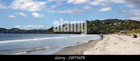 Panorama mit Touristen und Häusern am Onetangi Beach, Waiheke Island, Aotearoa / Neuseeland Stockfoto