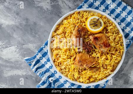 Pakistanische und indische Hühnchen Biryani Reis mit Gewürzen auf grauem Hintergrund, Kopierraum, Ansicht von oben Stockfoto