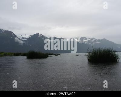 Haines, Alaska, bietet ein ruhiges Wasser mit Wasserpflanzen vor dem Hintergrund majestätischer, nebelbedeckter, schneebedeckter Berge Stockfoto