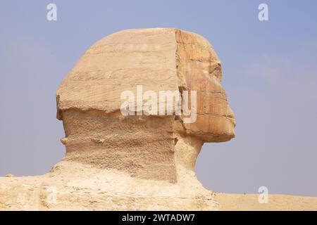 Hauptporträt Nahaufnahme der Sphinx Gizeh Kairo Ägypten Afrika Stockfoto